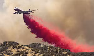 Sơ tán gần 8.000 người do cháy rừng tại Nam California