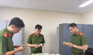 'Chủ công', 'mũi nhọn' trong đấu tranh phòng, chống tội phạm tham nhũng, kinh tế, buôn lậu