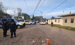 Mexico: Xả súng tại một trận bóng đá, ít nhất 11 người tử vong