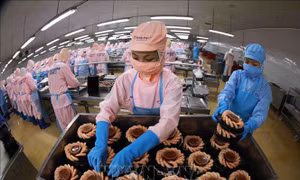 Giải ngân vốn FDI tăng trưởng 13,5% 