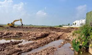 Phú Thọ thống nhất phương án xử lý vi phạm tại khu công nghiệp Trung Hà