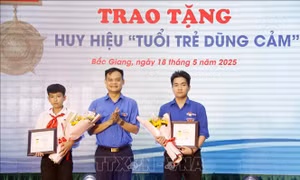 Trao tặng Huy hiệu 'Tuổi trẻ dũng cảm' cho 2 đoàn viên, thiếu niên dũng cảm cứu người