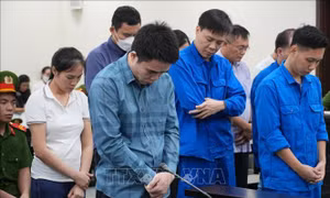 Hai cựu lãnh đạo Cục Hải quan lĩnh 13 năm tù trong vụ sản xuất thực phẩm giả ở MediPhar