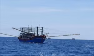 Cứu nạn tàu cá hỏng máy thả trôi trên biển