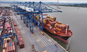 AMRO dự báo Việt Nam có tốc độ tăng trưởng cao nhất trong nhóm ASEAN+3