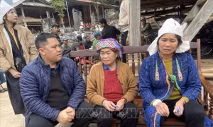 Khẩn trương xử lý các vụ nghi ngộ độc thực phẩm tại Đồng Tháp và Sơn La
