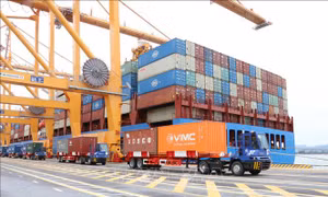 Thành phố Cảng trong nhịp phát triển mới - Bài cuối: Sức mạnh lợi thế cảng biển  