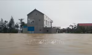 Lũ trên các sông tại Hà Tĩnh đang lên chậm, lũ tại Quảng Bình đạt đỉnh và đang xuống