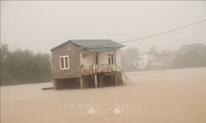 Lũ trên sông Gianh, Kiến Giang, Nhật Lệ lên nhanh