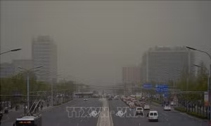 Nguy cơ biến chứng tim mạch khi tiếp xúc không khí ô nhiễm