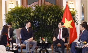 Chủ tịch Quốc hội Trần Thanh Mẫn tiếp lãnh đạo Tập đoàn Sembcorp
