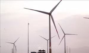 Phát điện dự án điện gió Trung Nam giai đoạn II công suất 64 MW