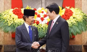 Tăng cường hiệu quả quan hệ Đối tác toàn diện Việt Nam - Brunei