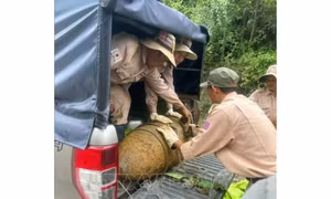 Xử lý an toàn quả bom nặng 350 kg sót lại sau chiến tranh