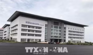 Đắk Lắk xử lý 'lỗ hổng' trong việc cấp chứng chỉ hành nghề khám, chữa bệnh