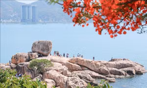 Giữ gìn và tôn tạo 'màu xanh' cho du lịch Nha Trang