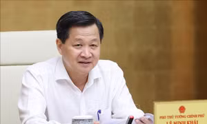 Không làm thay, không đùn đẩy trách nhiệm sắp xếp công ty nông, lâm nghiệp