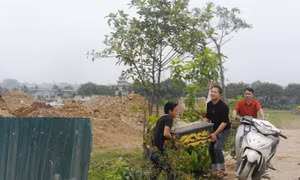 Vành đai 4 - Con đường gắn kết và phát triển - Bài 3: Chính quyền quyết tâm, người dân đồng lòng