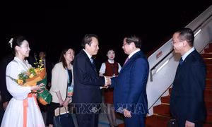 Thủ tướng Phạm Minh Chính tới Thiên Tân, bắt đầu chuyến công tác dự Hội nghị thượng đỉnh SCO 2025