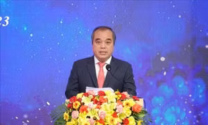 Phân công ông Trần Hoàng Tuấn điều hành UBND tỉnh Quảng Ngãi