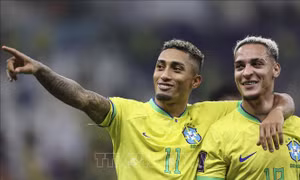 23h ngày 28/11: Brazil quyết tâm sớm giành vé đi tiếp