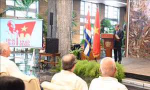 Đại sứ Lê Quang Long: Tình hữu nghị Việt Nam - Cuba là biểu tượng sống động của chủ nghĩa quốc tế chân chính