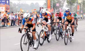 Khởi tranh giải đua xe đạp toàn quốc HTV Cup 2026