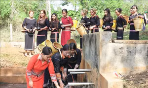 Hồi sinh Lễ cầu mưa của đồng bào Bahnar ở Gia Lai