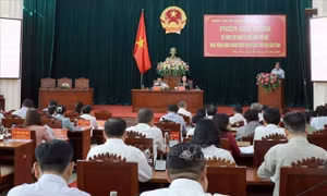 Phú Yên: Xác định tồn tại, đưa ra lộ trình xử lý dứt điểm hoạt động du lịch 'tự phát'