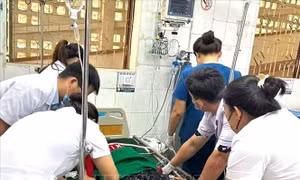 Cảnh báo hiểm họa ngộ độc từ ăn nhầm lá cây độc từ rừng