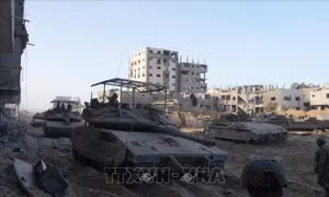 Tổng thư ký NATO ủng hộ ngừng bắn nhân đạo tại Gaza