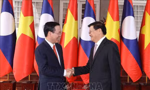Việt Nam luôn coi trọng mối quan hệ hữu nghị, hợp tác toàn diện với Lào