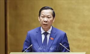 Chủ động thích ứng, nâng cao năng lực dự báo và phản ứng chính sách