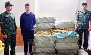 Liên tiếp phát hiện các vụ vận chuyển thực phẩm không rõ nguồn gốc