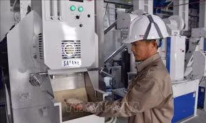 Xây dựng chiến lược nâng cao giá trị nông sản - Bài cuối: Thích ứng yêu cầu hội nhập