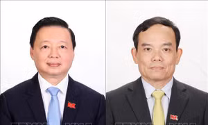 Phân công nhiệm vụ đối với các Phó Thủ tướng Chính phủ