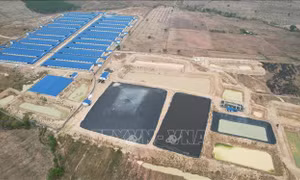 Gia Lai: Thận trọng trong việc kêu gọi đầu tư các dự án chăn nuôi quy mô nhỏ