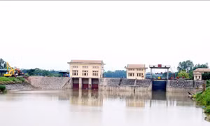 Chủ động phòng, chống thiên tai, bảo vệ các công trình đê điều xung yếu