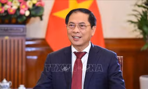Ngoại giao Việt Nam năm 2022: Phát huy mạnh mẽ bản sắc 'Cây tre Việt Nam'