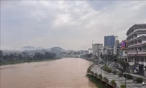 Bốn tỉnh khu vực Bắc Bộ chủ động ứng phó với lũ