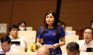 Thúc đẩy tính minh bạch và phát triển lành mạnh của thị trường bảo hiểm