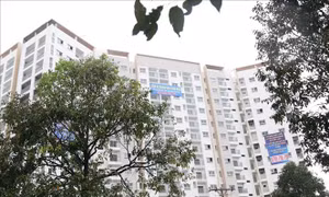 HoREA đề xuất chủ khu nhà trọ được vay ưu đãi lãi suất 4,8%/năm