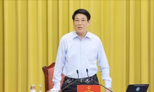 Chủ tịch nước Lương Cường làm việc với Văn phòng Chủ tịch nước về triển khai nhiệm vụ trọng tâm 
