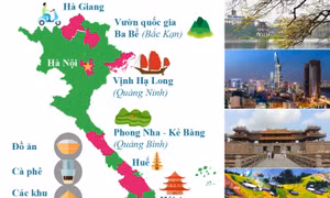 Những trải nghiệm du lịch hàng đầu tại Việt Nam