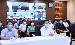 Vận động bầu cử diễn ra đúng luật, linh hoạt và an toàn