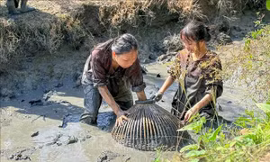 Về Cần Thơ ăn Tết giữa thiên nhiên