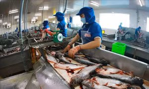 Kích hoạt các động lực phát triển để kinh tế tăng trưởng vượt 8%