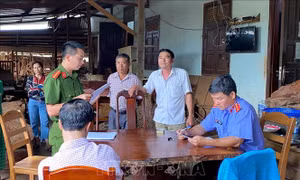 Tạm giữ chủ doanh nghiệp Hùng Ny mua bán, tàng trữ lâm sản trái phép