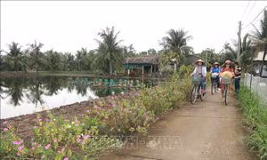 Doanh thu ngành du lịch Trà Vinh tăng gần 5 lần