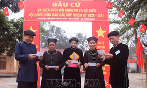 Ngày hội bầu cử lan tỏa từ Thủ đô kháng chiến đến vùng biên